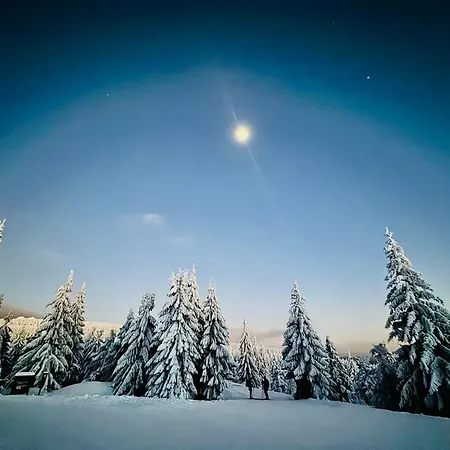 Stara Skola Marianska *