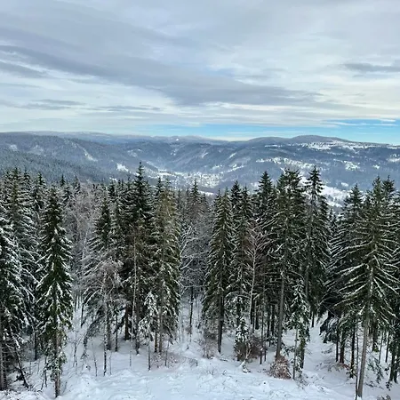 Stará škola Mariánská *
