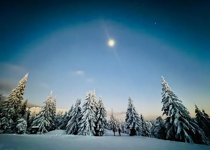 Stara Skola Marianska *