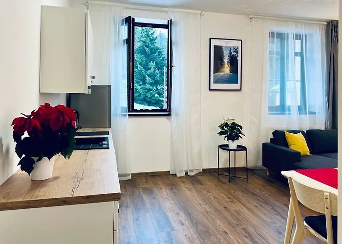 Stara Skola Marianska Апартаменты *